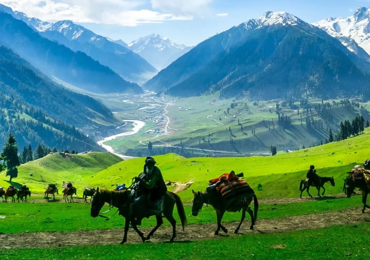 Jannat-e-Kashmir by Vistadome Train: additional photo 1